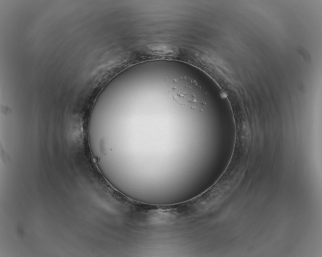 X0000090920320200708061548