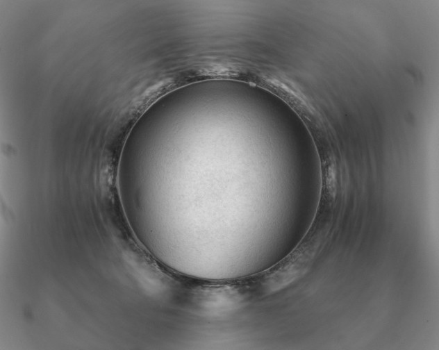 X0000090920322200708061548