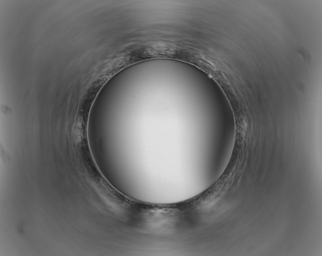 X0000090920323200708061548