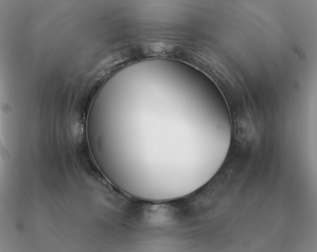 X0000090920324200708061548