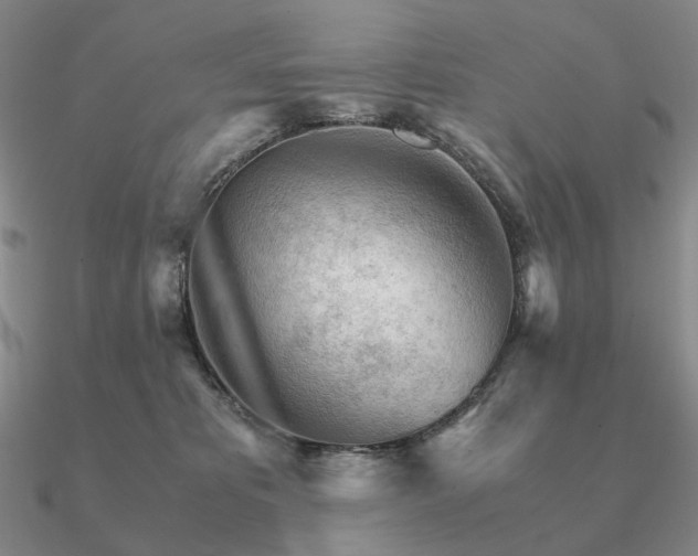 X0000090920325200708061548