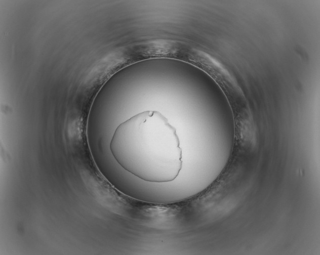 X0000090920326200708061548