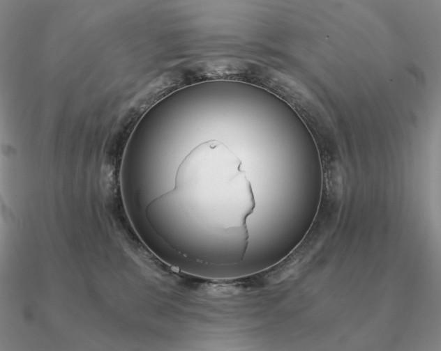 X0000090920327200708061548