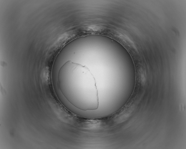 X0000090920328200708061548