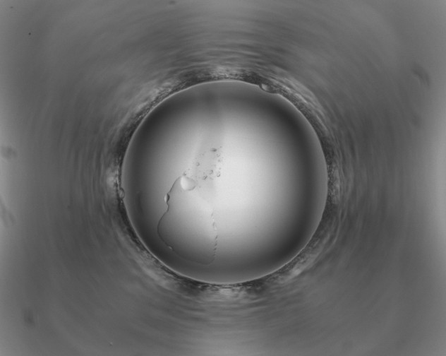 X0000090920329200708061548