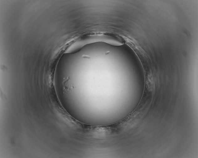 X0000090920330200708061548