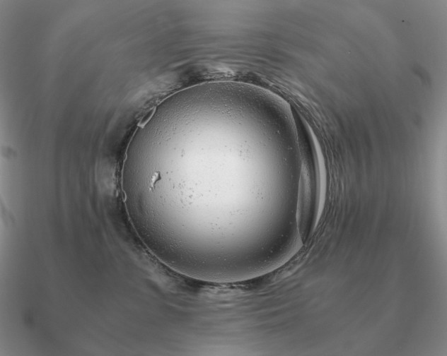 X0000090920331200708061548