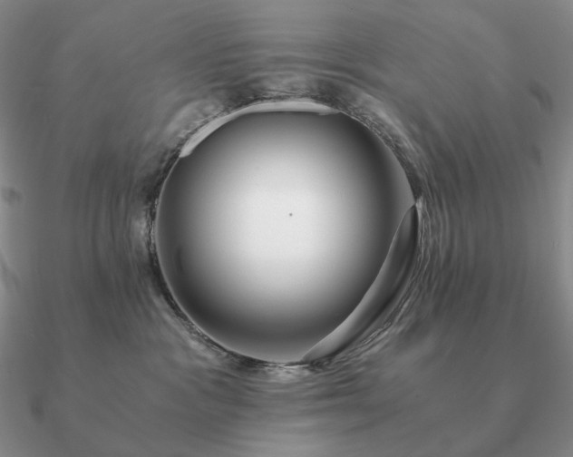 X0000090920333200708061548