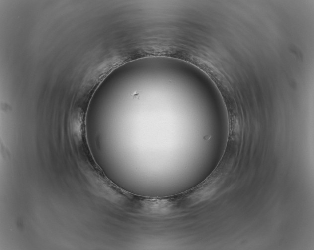 X0000090920334200708061548