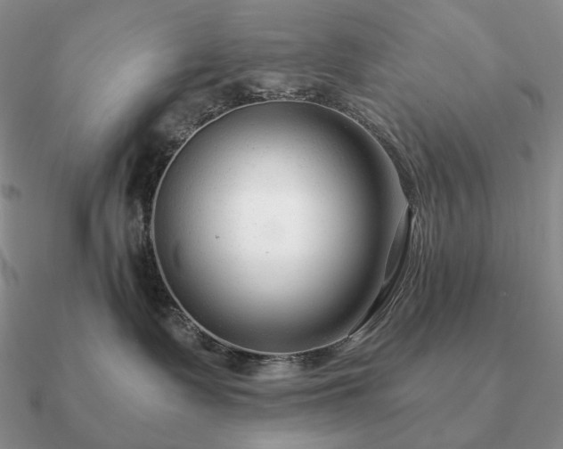 X0000090920335200708061548