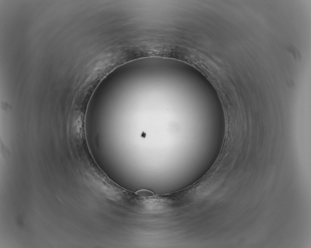 X0000090920336200708061548