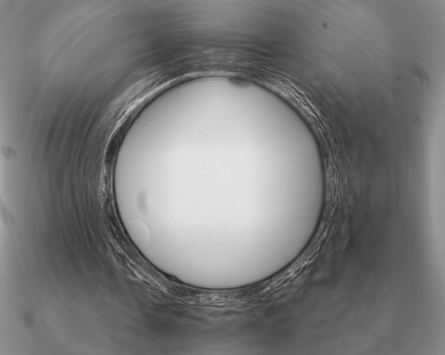 X0000090920338200708061547