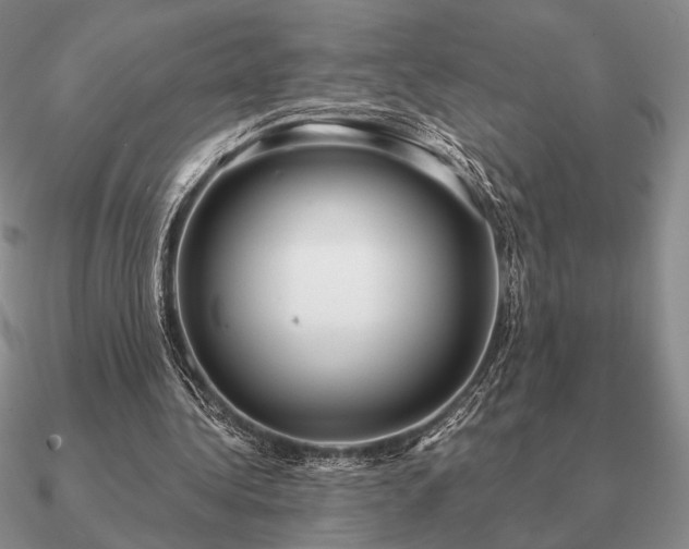 X0000090920340200708061547