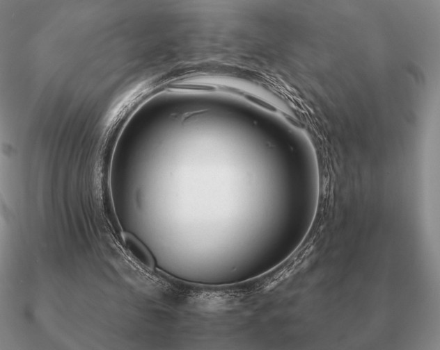 X0000090920341200708061547