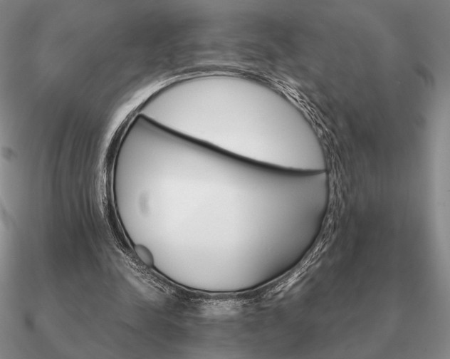 X0000090920342200708061547