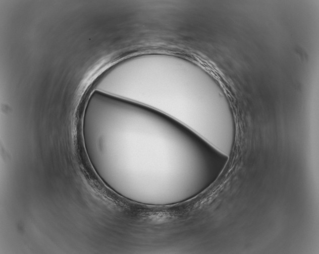 X0000090920344200708061547