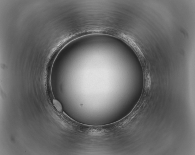 X0000090920346200708061547