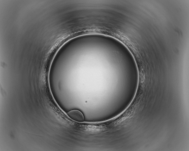 X0000090920347200708061547