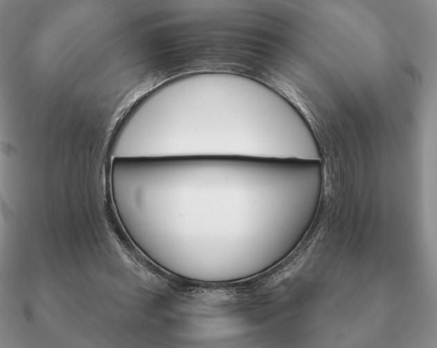 X0000090920349200708061547