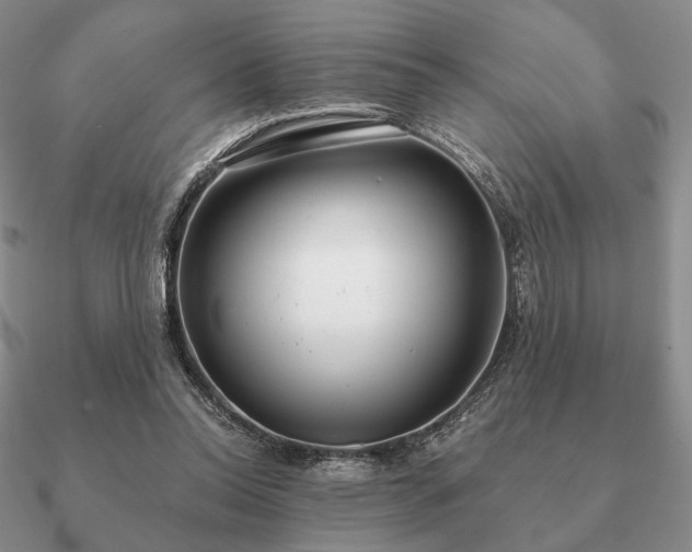 X0000090920350200708061547