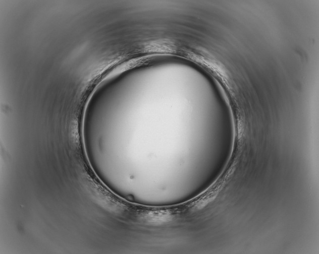 X0000090920353200708061547