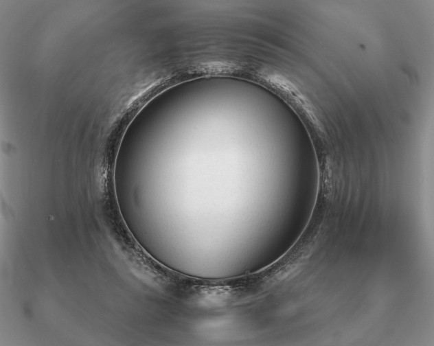 X0000090920355200708061547