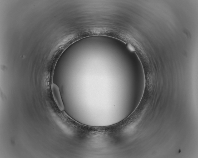 X0000090920356200708061547