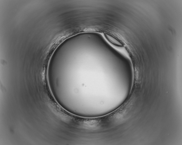 X0000090920357200708061547