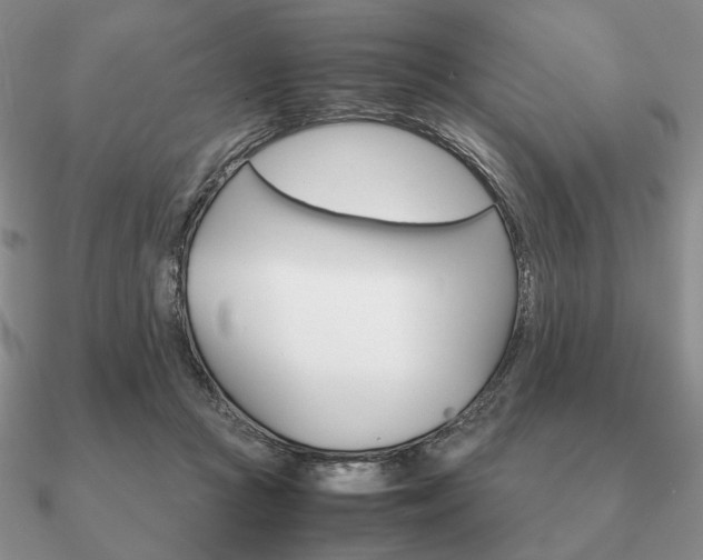 X0000090920361200708061547