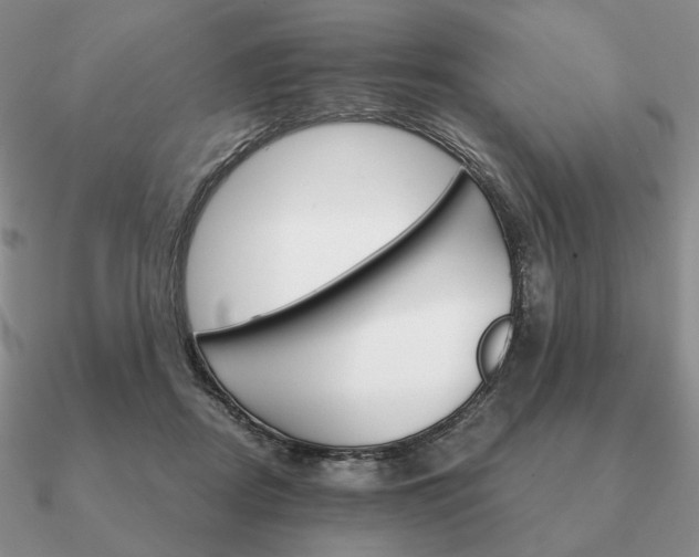 X0000090920362200708061547