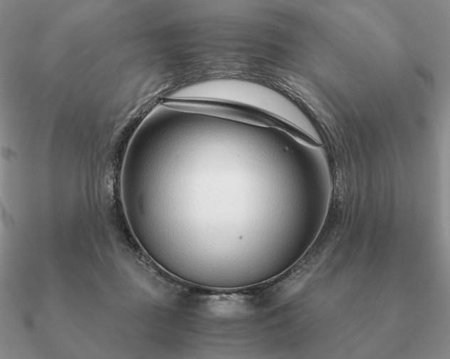 X0000090920363200708061547