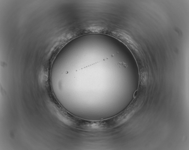 X0000090920365200708061547