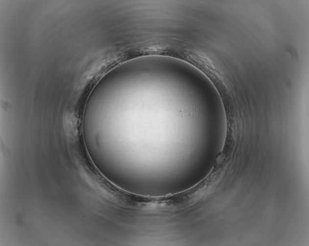 X0000090920366200708061547