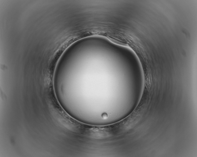 X0000090920367200708061547