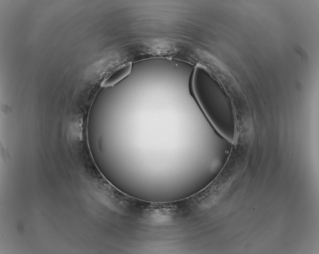 X0000090920368200708061547