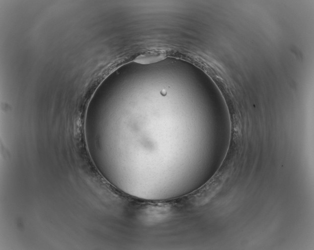 X0000090920369200708061547