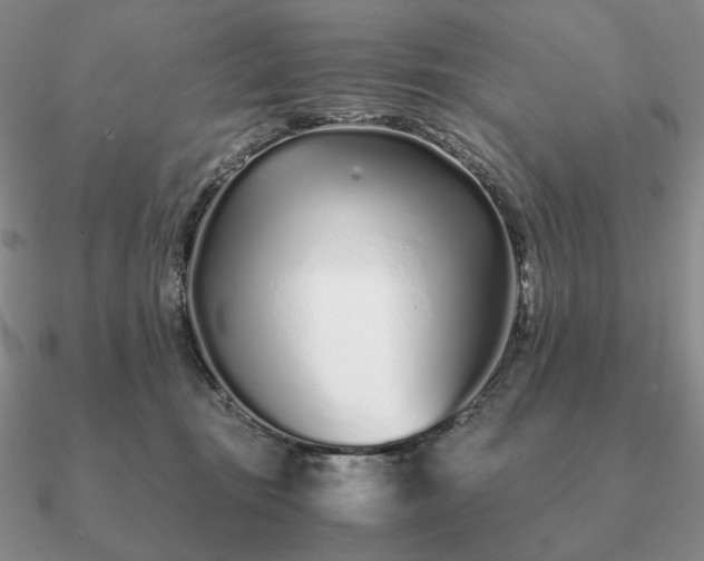 X0000090920371200708061547