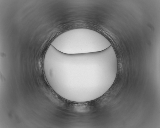 X0000090920373200708061547