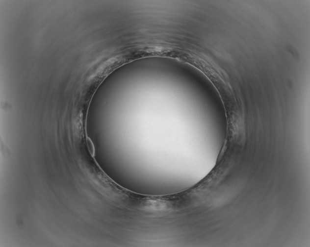 X0000090920376200708061548