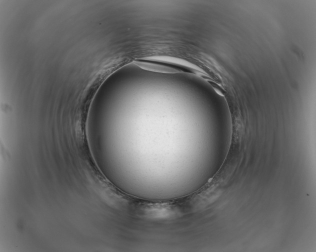 X0000090920377200708061548