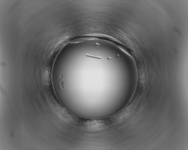 X0000090920378200708061548