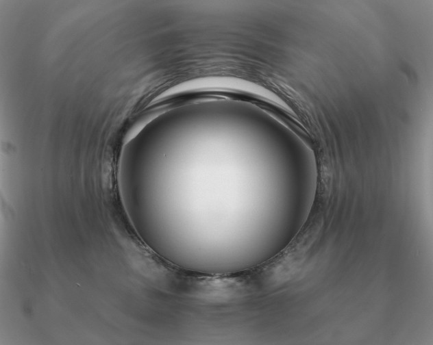 X0000090920379200708061548