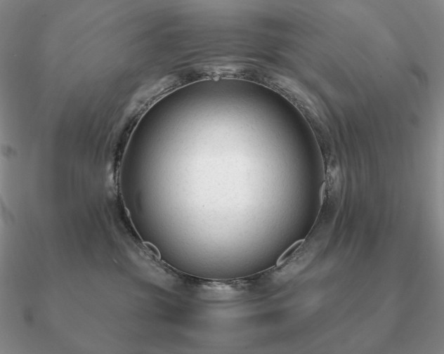 X0000090920381200708061548