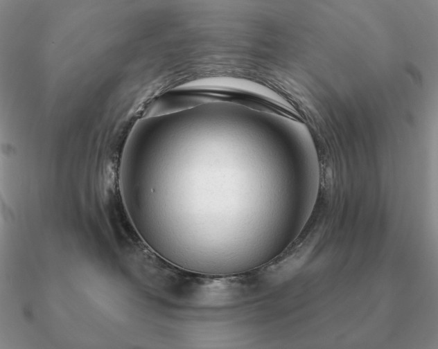 X0000090920382200708061548