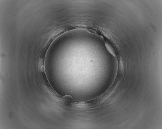 X0000090920383200708061548