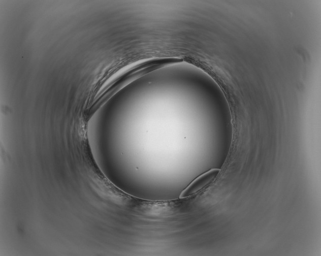 X0000090920384200708061548