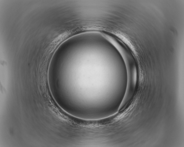 X0000090920385200708061547