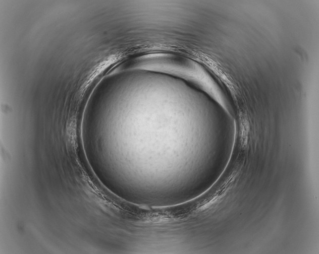 X0000090920386200708061547