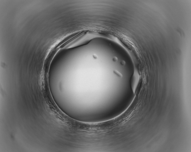 X0000090920388200708061547