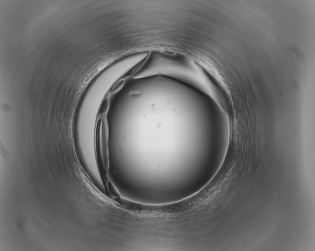 X0000090920389200708061547